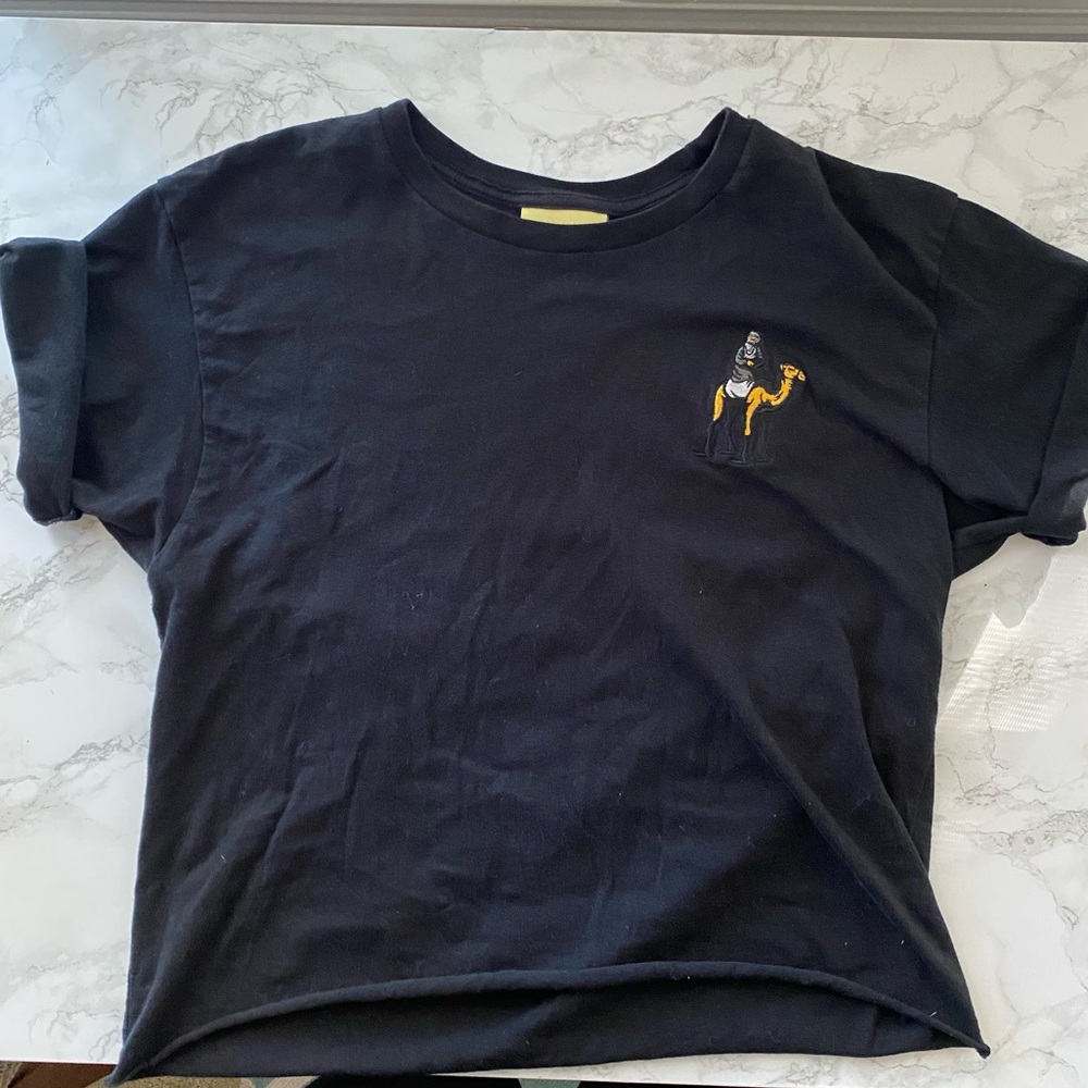 Egypt Beduion Camel Embrodery Eureka Crop   Tee T Palestine 🍉